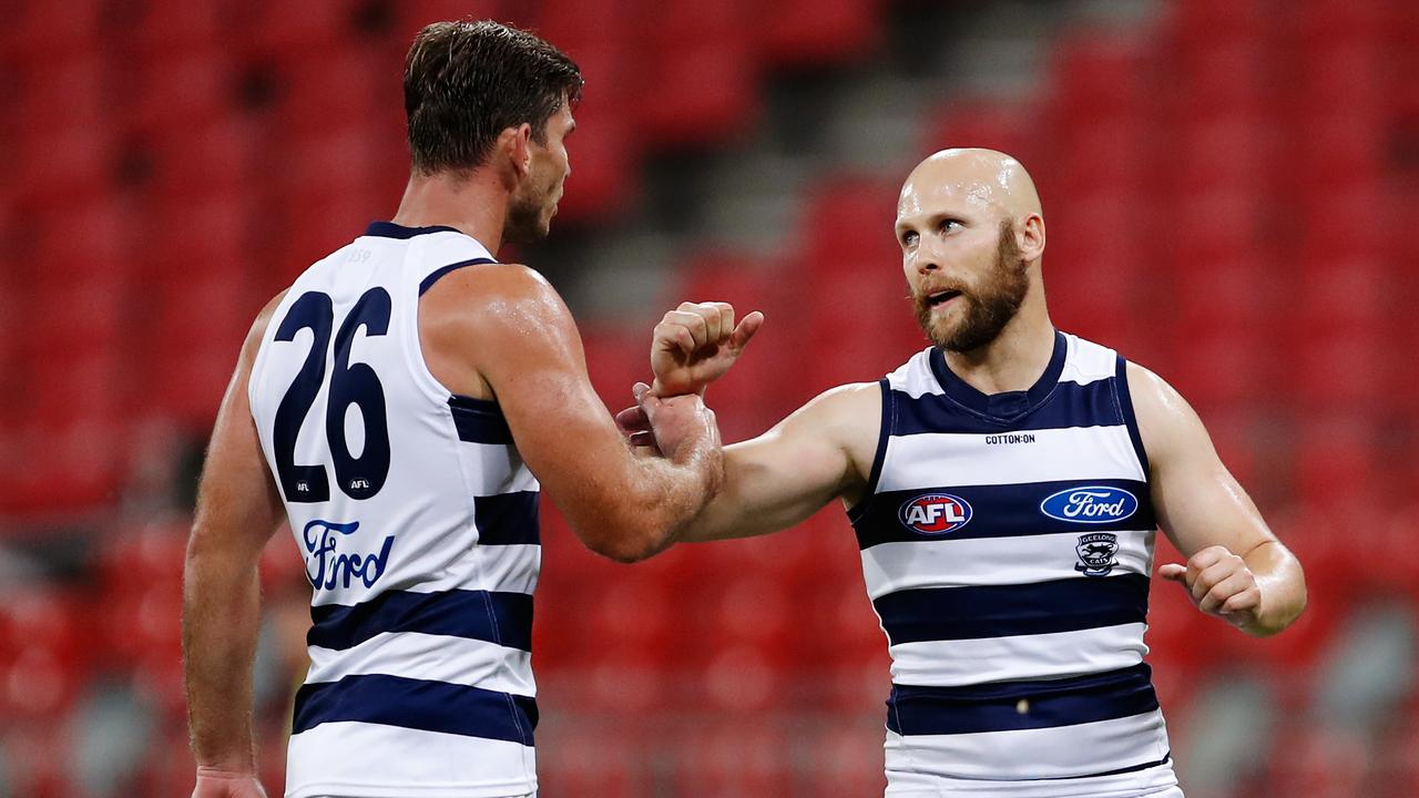 Could Gary Ablett and Tom Hawkins be premiership Cats again in 2020? Picture: Brendon Thorne