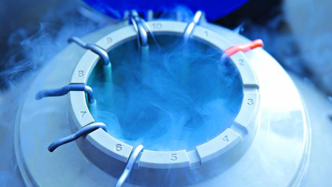 There are 100,000 human embryos stored in IVF clinics in Australia. Pic: Getty Images