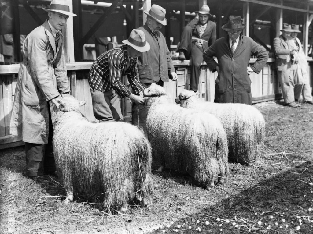 Mercury Archive historical file picture Royal Hobart Show.