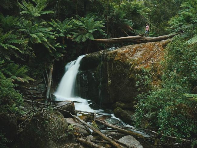 The stunning Amphitheatre Falls at Noojee. Picture: Eliza Sum