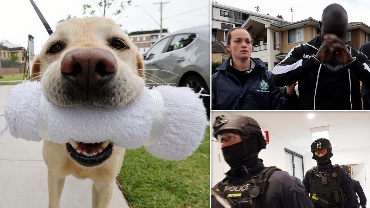 Five Men Arrested In Western Sydney Raids To Bust Alleged Drug Ring ...