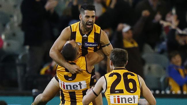 AFL: Round 5 Hawthorn V Adelaide at the MCG, 22nd of April, Melbourne Australia. Hawthorn's Paul Puopolo with the winning goal. Picture : George Salpigtidis