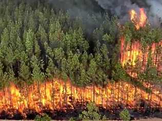 New Zealand fire fighters fly in to help at Myall Creek fire, Bora Ridge for a Saturday night shift. Picture: NSW RFS