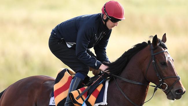 Johannes Vermeer, pictured here preparing at Werribee, is Brendan Cormick’s Cup tip. Photo: AAP