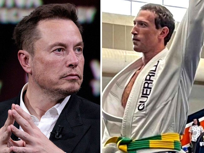 'Dead serious': Tech billionaires Elon Musk (left) and Mark Zuckerberg could soon face off in a cage match to raise money for charity. Pictures: File