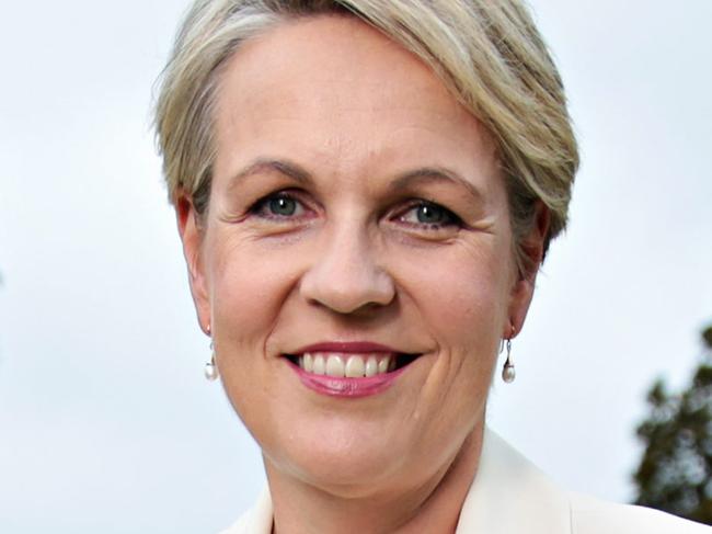 Tanya Plibersek at Gladstone Park in Balmain on the 27th of January. Picture: Adam Yip
