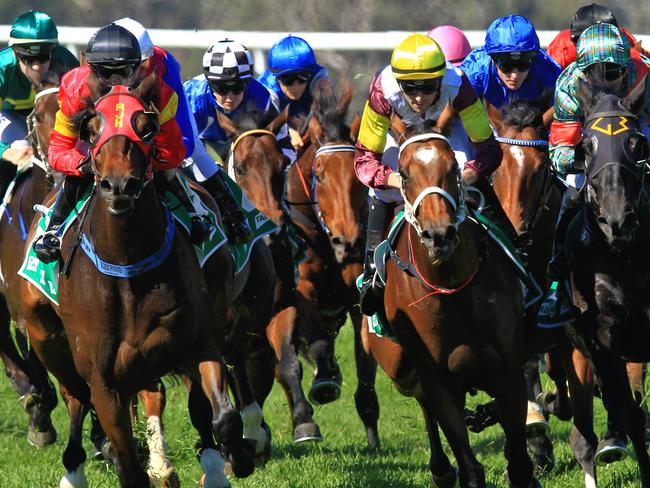 Loving home ridden by Tye Angland  (yellow cap, maroon with yellow armbands) wins race 1 during Scone  Races located in the Upper Hunter Region of NSW. The Bend . Pic Jenny Evans