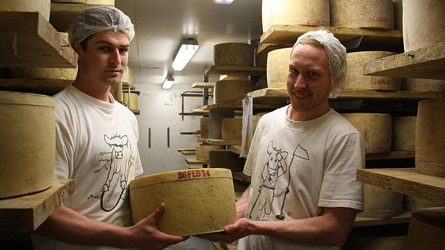 Pyengana cheese takes top gong