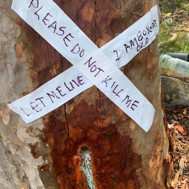 Angry residents have placed makeshift signs above the drill holes on the affected trees as a message to the phantom poisoner. Picture: Sarina Tomchin