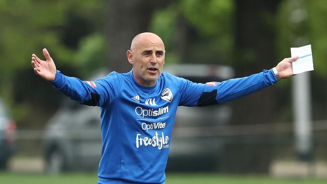 Kevin Muscat expects Victory veterans to step up in absence of Besart ...