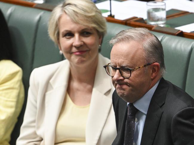 CANBERRA, AUSTRALIA, NewsWire Photos. FEBRUARY 14, 2024: Minister for Environment and Water Tanya Plibersek and Prime Minister Anthony Albanese during Question Time at Parliament House in Canberra. Picture: NCA NewsWire / Martin Ollman