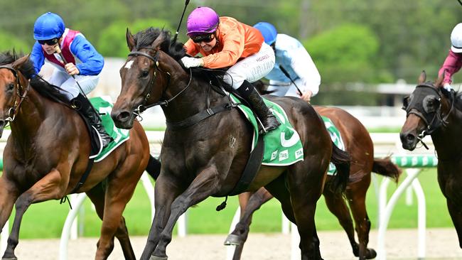 Kelly Schweida's two-year-old colt Grafterburners will line up in the $2m Inglis Millennium at Randwick on Saturday. Picture: Grant Peters / Trackside Photography