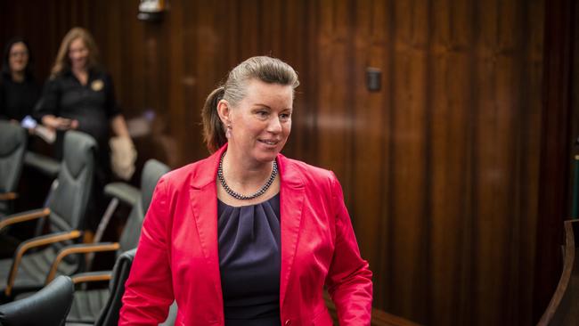 Labor MP Janie Finlay. Picture: Richard Jupe