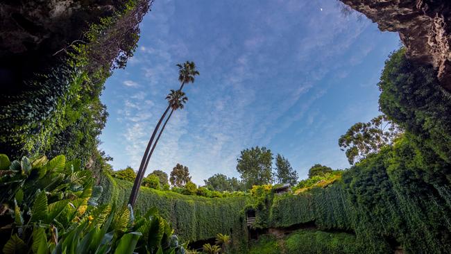 The Umpherston Sinkhole in Mount Gambier ... perhaps the most remarkable pothole in Australia! Picture: Michael Ellem