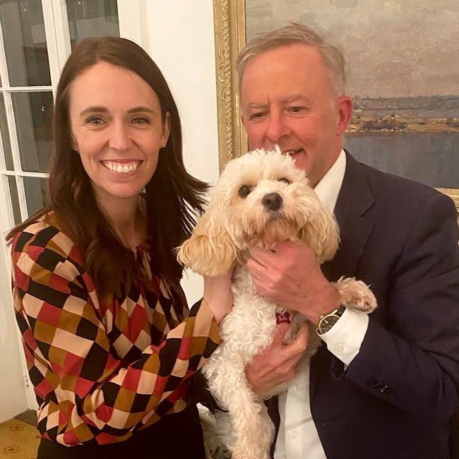 Anthony Albanese, with Toto and then New Zealand PM, Jacinda Ardern.