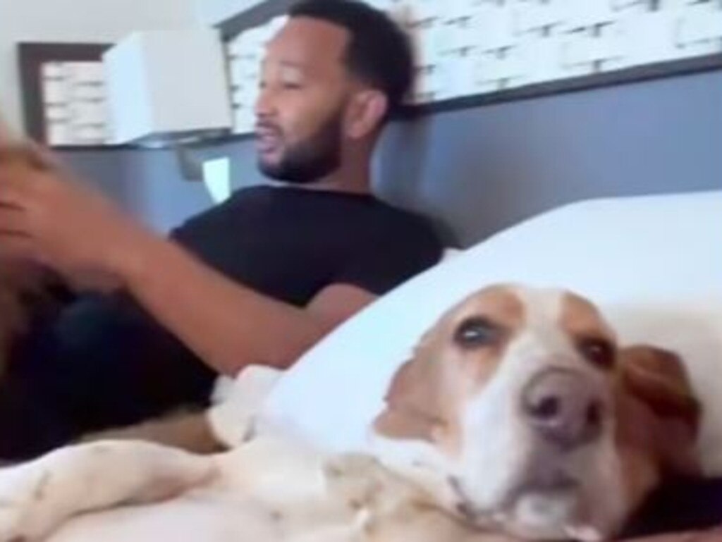 John Legend at an LA hotel with the family’s dog. Picture: Supplied