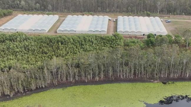 Eleven people charged in relation to a $60 million cannabis grow farm west of Maryborough had their charges mentioned in court in late January 2024.