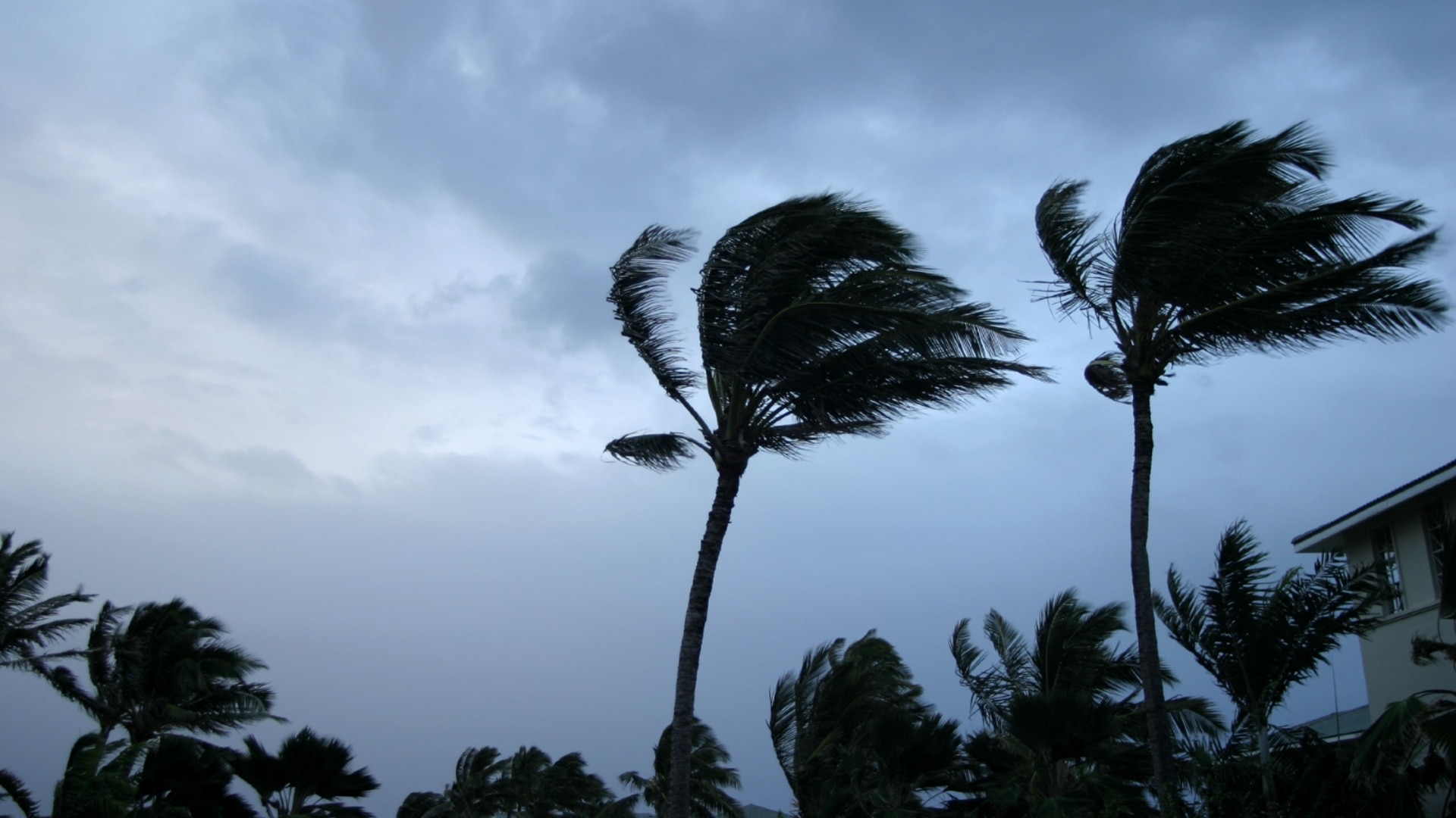 Meteorologist predicts whether WA is at risk of being hit by a cyclone