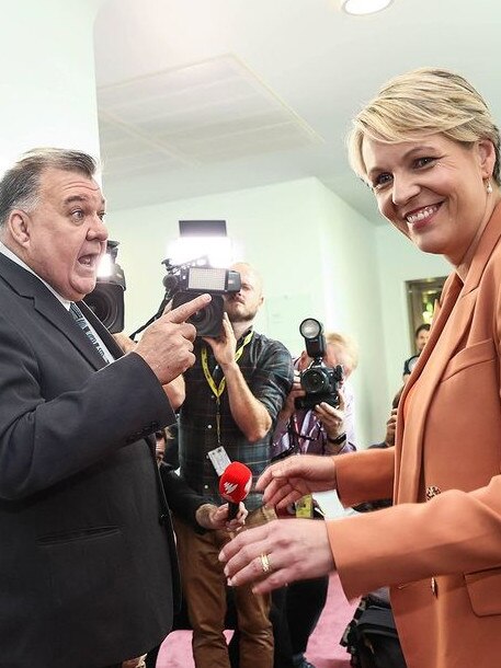 The confrontation between Labor MP Tanya Plibersek and Liberal MP Craig Kelly (left). Picture: Instagram