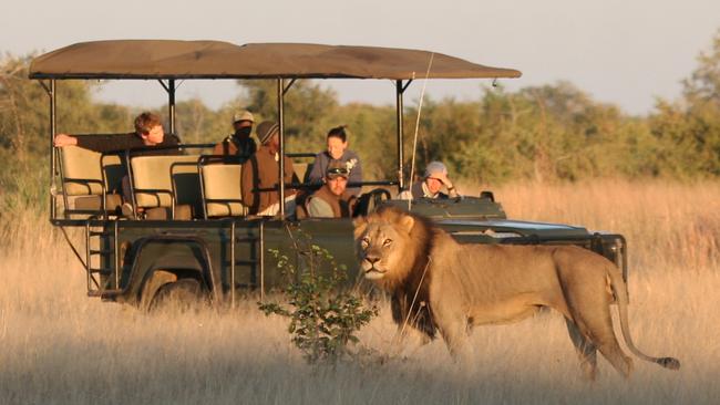 Glam Safaris