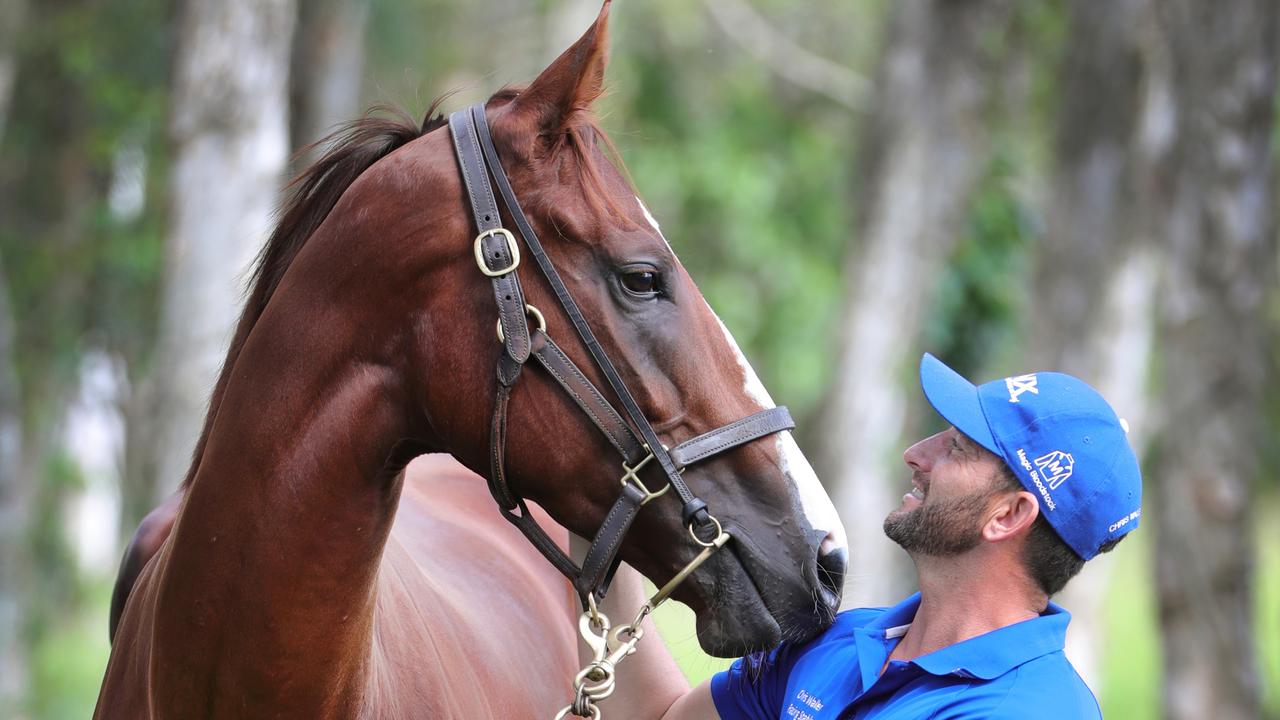 QLD_GCB_SPORT_SEXYEYES