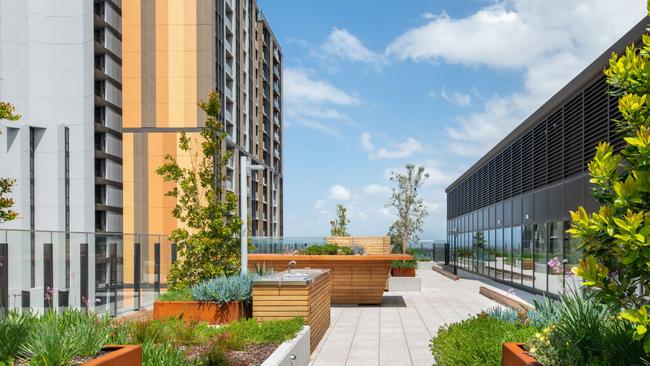 A render of the rooftop garden communal space at “Ryde Garden”. Picture: Watpac