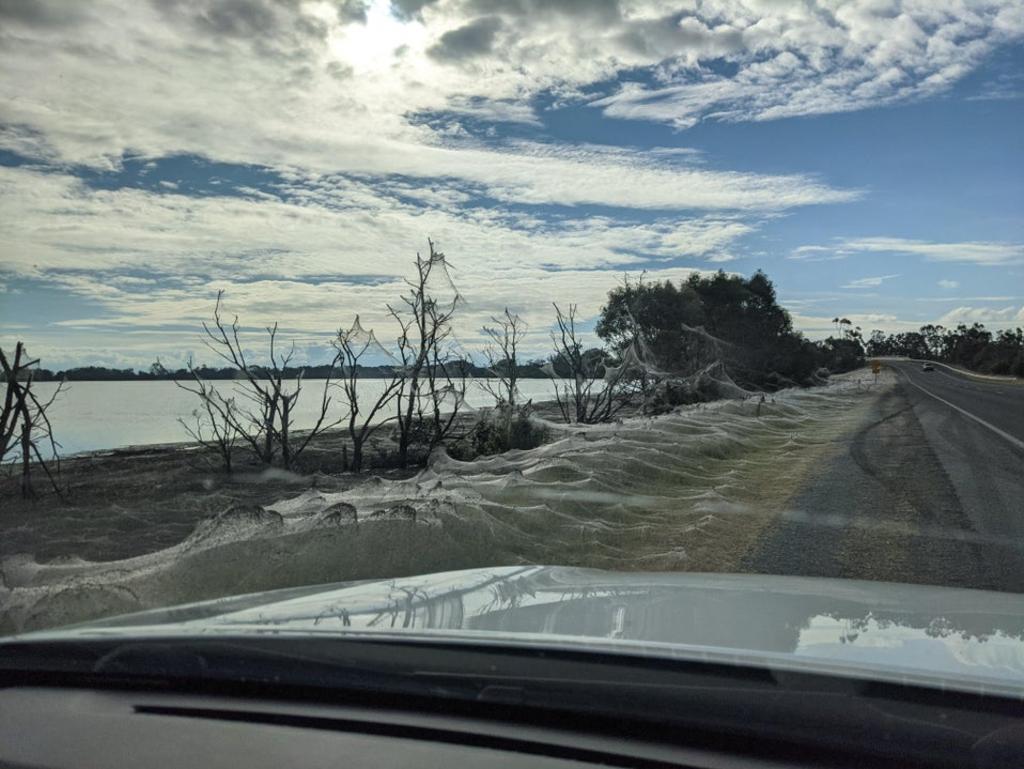 The region was hard hit by flooding last week, with more rain forecast for later this week. Picture: jk409 / Reddit