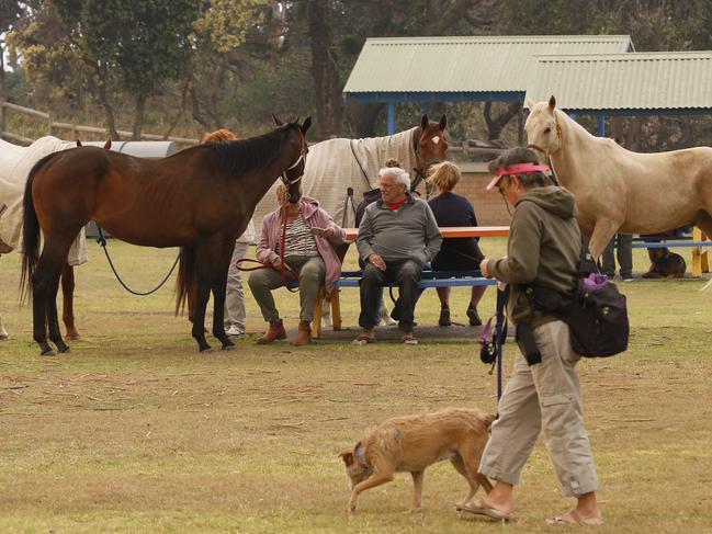 Residents evacuate themselves and their animals to a park in Old Bar, on Saturday. Picture: Shane Chalker