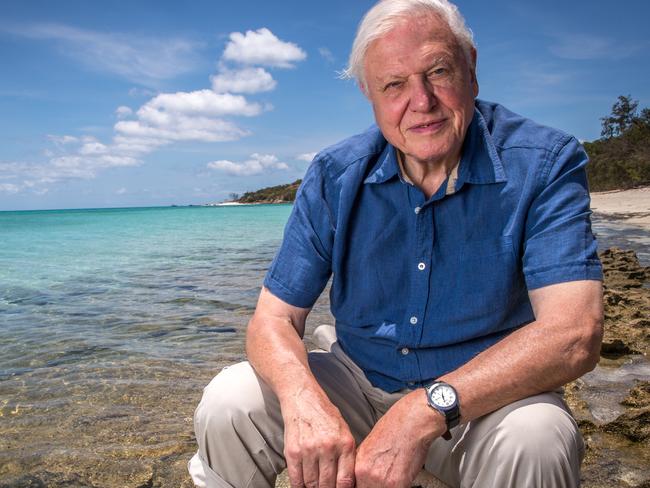 Honour ... The new boat will be named after David Attenborough. Picture: Supplied