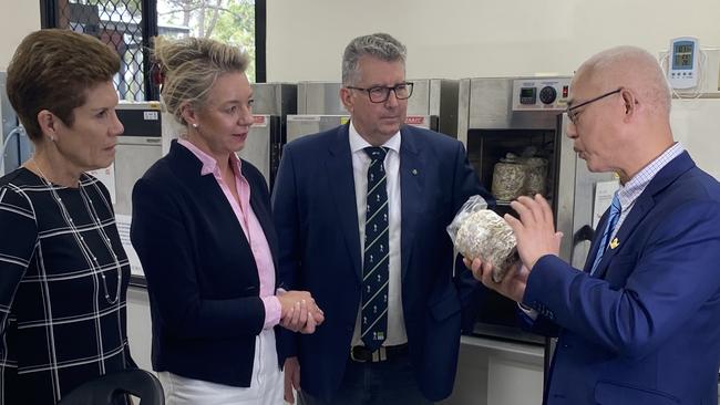 CQU vice president Helen Huntly, Senator Bridget McKenzie, Federal Member for Hinkler Keith Pitt and Kenon Corporation owner Simon Tang at CQU Bundaberg for the announcement of $1.9 million for a new mushroom farm and factory in Bundaberg.