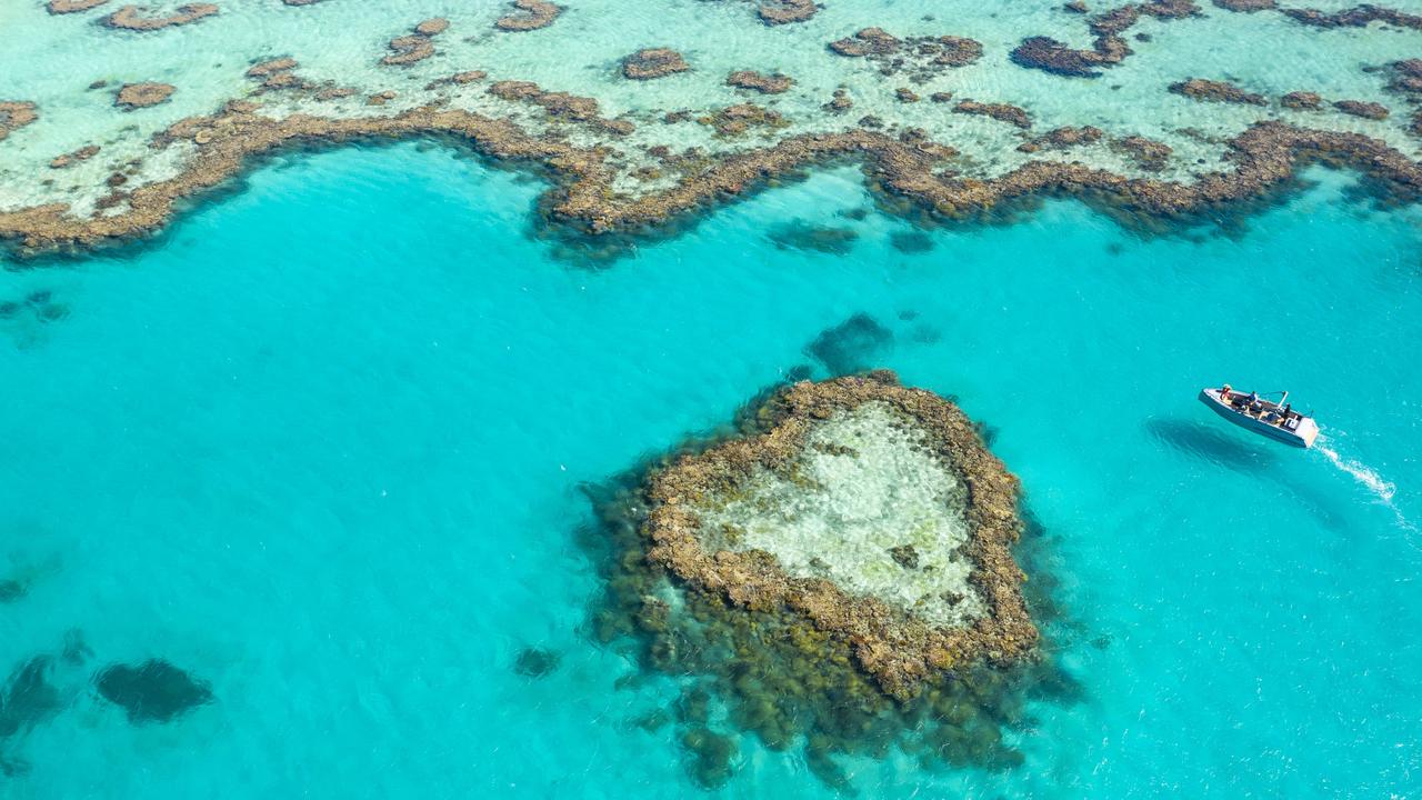 whitsundays heart reef tour