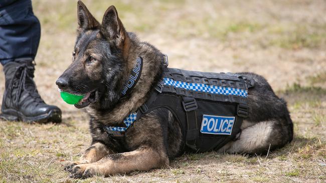 PD Ruger and Senior Constable Charles delivered a “polished performance” over the four-day competition. Picture: NZ Police