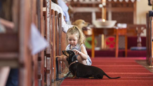 Clementine Greensmith with Polly at the Blessing of the Pets at All Saints Anglican Church, Saturday, October 12, 2024. Picture: Kevin Farmer