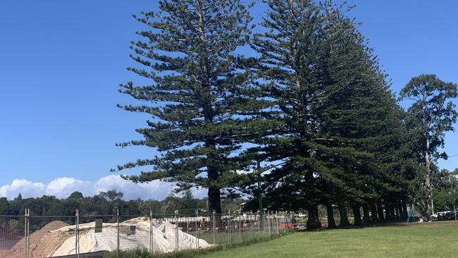 Reflections have been undertaking work on the bank of the Brunswick River at Brunswick Heads. Picture: Liana Boss