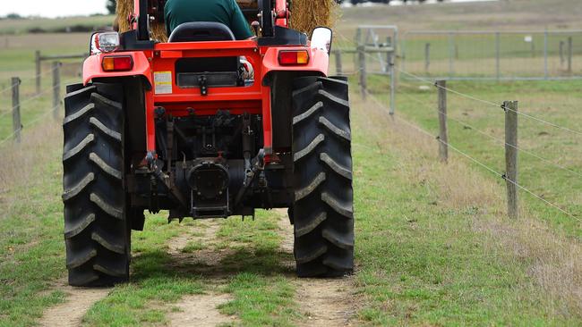 FARM: Great Ocean Road BeefTeresa and Greg Walsh run a self-replacing herd of 100 Squaremeater and Murray Grey cattle on 53 hectares at Cudgee.They sell boxed meat to about 200 customers around Melbourne and Warrnambool under the Great Ocean Road Beef brand.Pictured: Greg on the tractor feeding out a round bale to the cattle.PICTURE: ZOE PHILLIPS