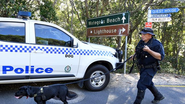 A police sniffer-dog is seen as a search continues for missing backpacker Theo Hayez at Byron Bay.