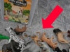 Toddler's 'wild' discovery in farm animal toys