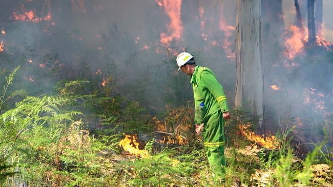 The Department of Sustainability and Environment (DSE) fuel reduction burn at Lorne.Darren Baulderas (Lorne DSE) sets fire to the bush