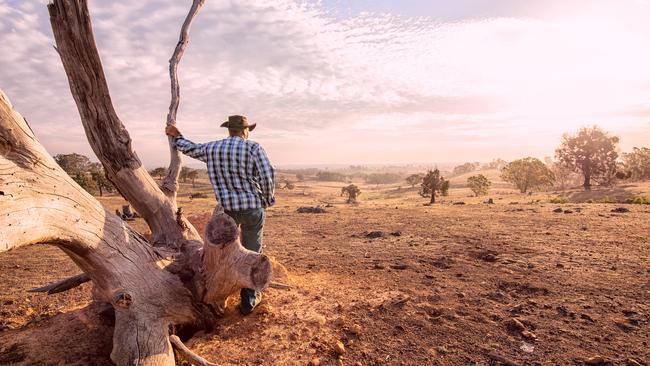 Simple reforms to immigration policy with support from rural communities to settle new permanent migrants will help take pressure off major cities. Picture: iStock