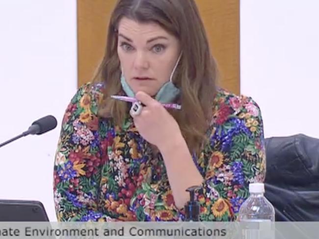 Chair of the Senate Inquiry into Media Diversity Senator Sarah Hanson-Young