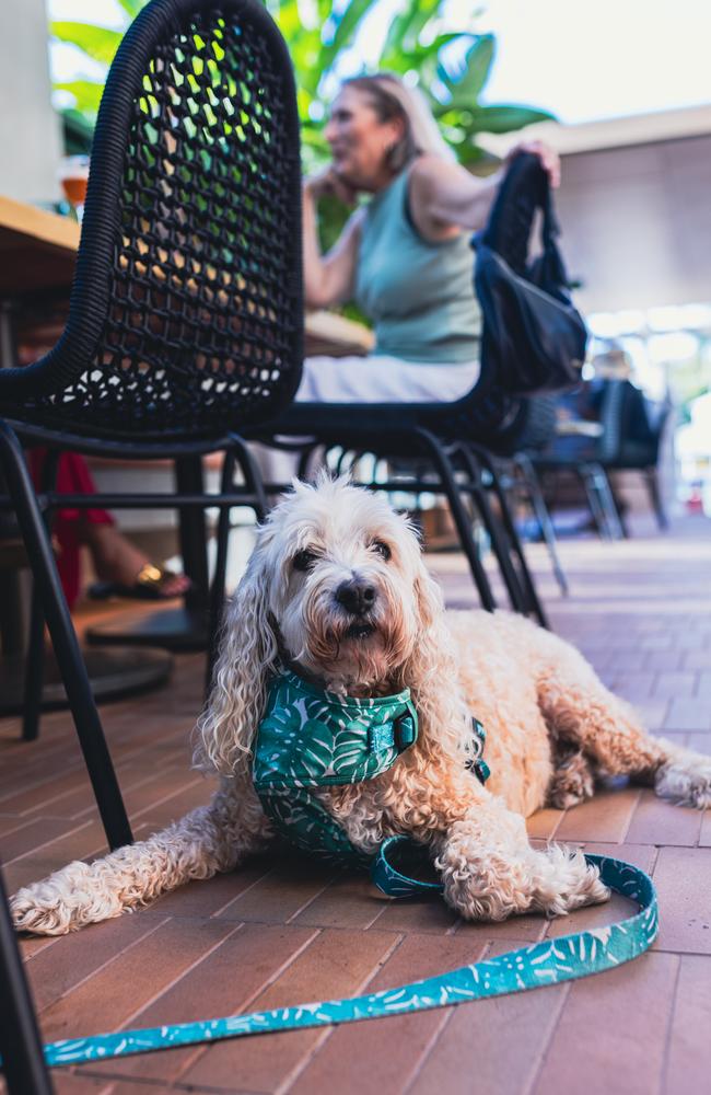 Ralph, having a great time on holiday.