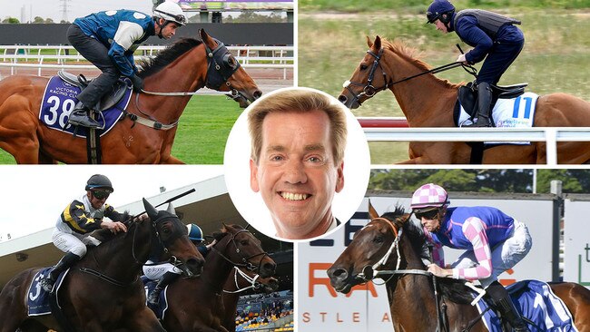 Ray Thomas previews today's big meetings at Flemington, where Buckaroo (top left) are Vauban (top right) are vying for Melbourne Cup favouritism, and Royal Randwick, where Here To Shock (bottom left) and Tavi Time are two of the fancies for the Big Dance.