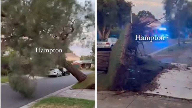 Dramatic footage of the moment a tree was ripped from its roots and completely topple over and blistering and destructive winds battered parts of Victoria.