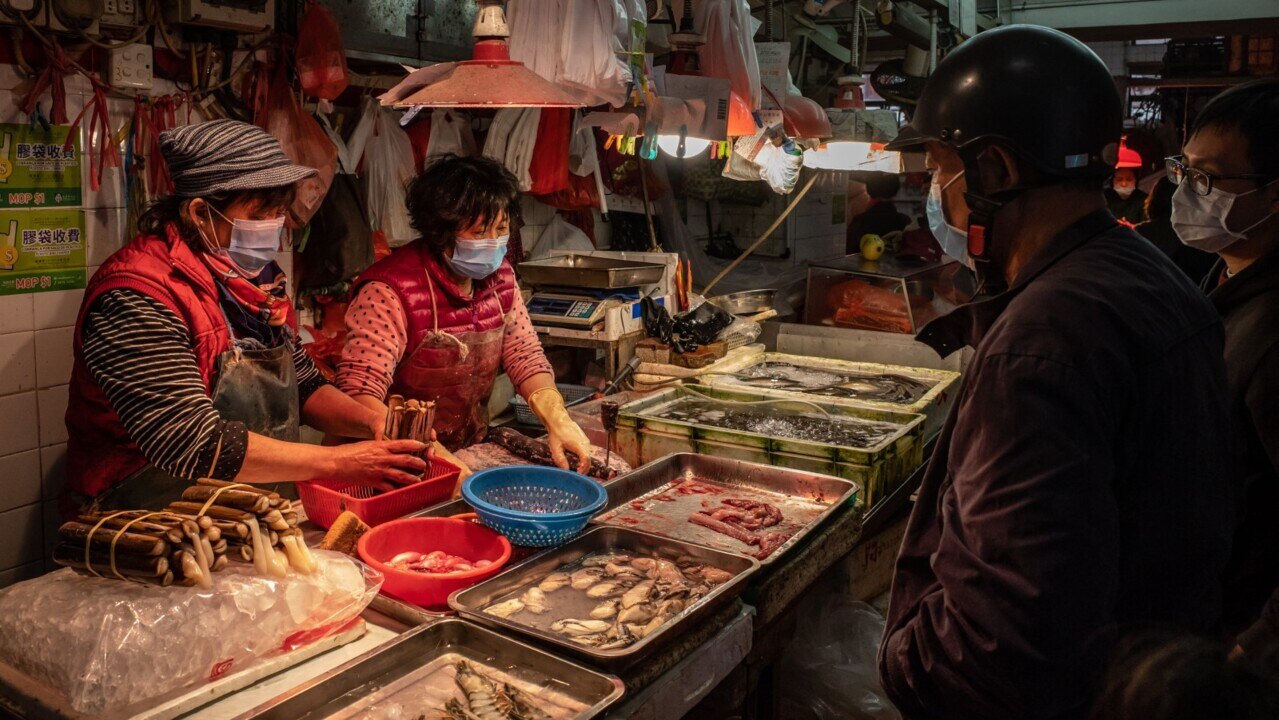 There are ‘serious problems’ with Wuhan wet market theory