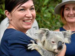 Minister for Environment Leeanne Enoch. Picture: Warren Lynam