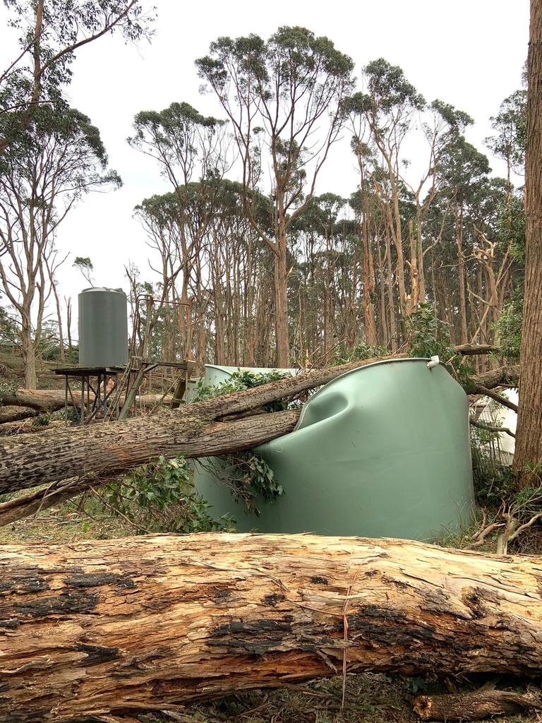 A tank crushed by a falling tree on Fern Rd, Lyonville. Picture: Merrilyn Hunt