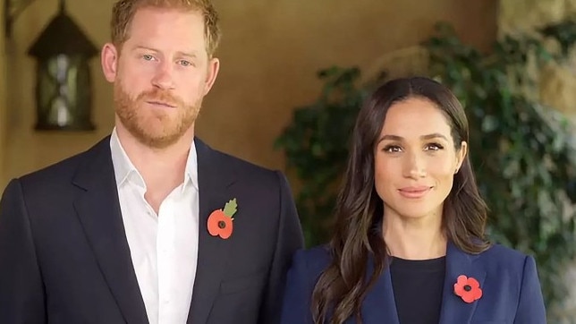 Prince Harry and Meghan Markle appear together in a video for the Global Ministerial Conference on Violence Against Children in Colombia on November 7