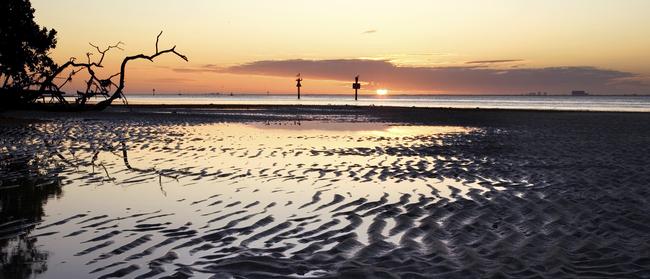 World Wetlands Day (Feb. 2) will celebrate the Ramsar listed Redlands Coast.