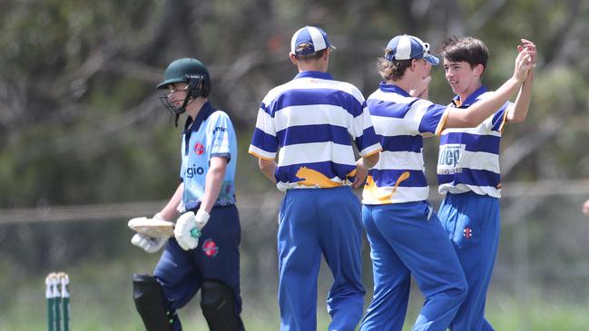 Hamwicks celebrate wicket. Hamwicks v Newcastle City, SG Moore Cup round three at Kahibah Oval. Picture: Sue Graham