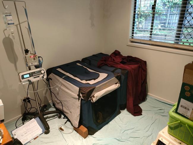 Koala Laura Leaf received round the clock care in a makeshift ICU set up in nurse supervisor Mallory Wilson's spare bedroom.